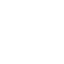 Dollar coin icon
